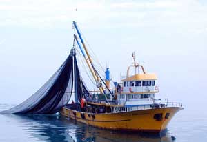 Balıkçılara Suriye sınırı ihlali uyarısı