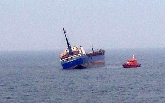 Kum kosteri Tuzla açıklarında yan yattı