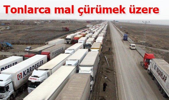 8 gündür sınırda bekliyorlar