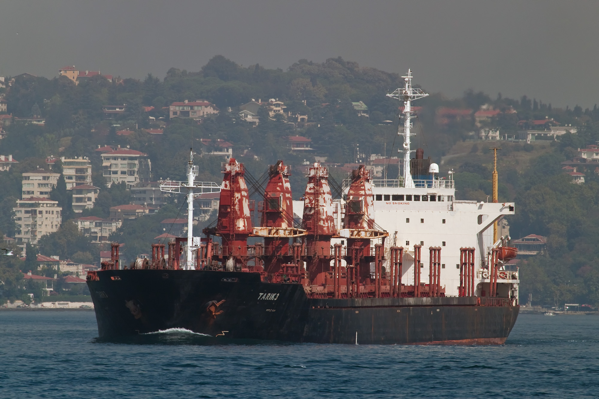 Özyeğin’in hacizli gemisi “Tarık 3” satıldı