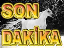 Arkas Ulaştırma'ya 31 çekici daha
