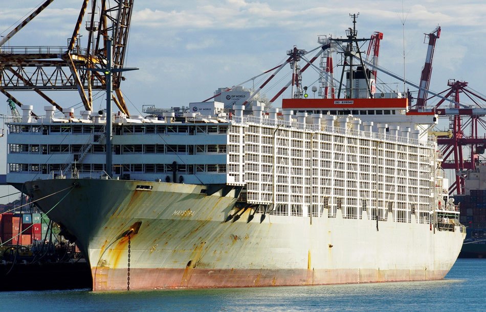 MIP, 9 bin konuğunu ağırlamaya hazır