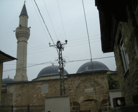 Kastamonunun şehir amblemi neden 'AYI' olmasın