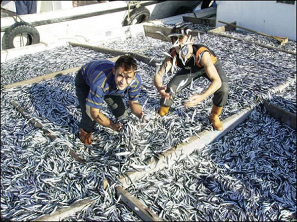 Av yasağı başladı