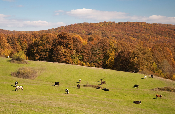 İğneada'da hedef: Turizm ve Sınır Kapısı
