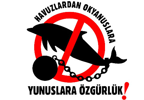 "Babamla yakaladığımız yunus balığı" dedi ceza aldı