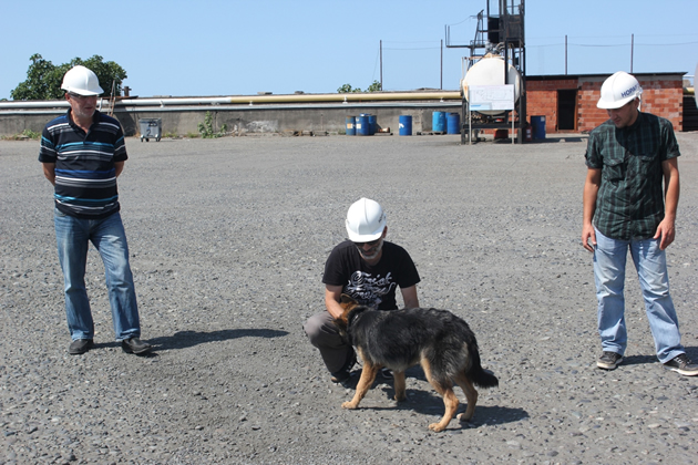 Hopa Liman Tesisi ISPS Kod  2013 tatbikatı yaptı