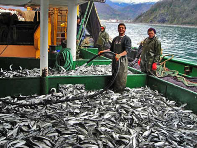Balıkçılar 1 Eylül’ü bekliyor