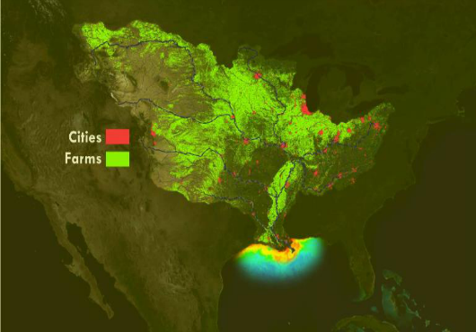 NOAA: Gulf of Mexico Dead Zone Still Significant