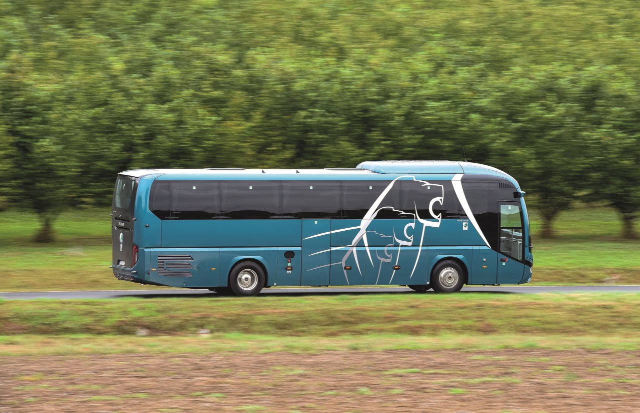 man-lions-coach-2.jpg
