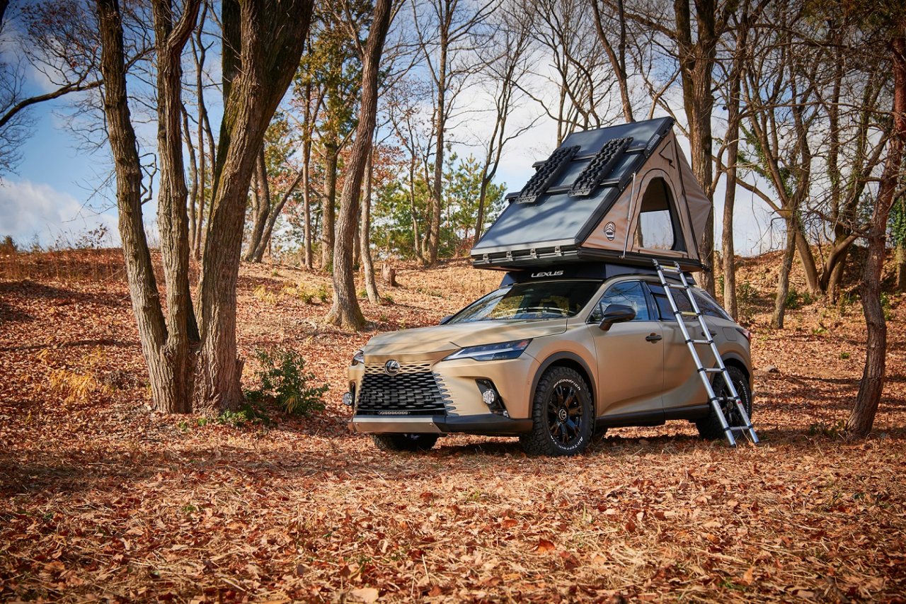 lexus-02-rx-rov-gx-2-s.jpg