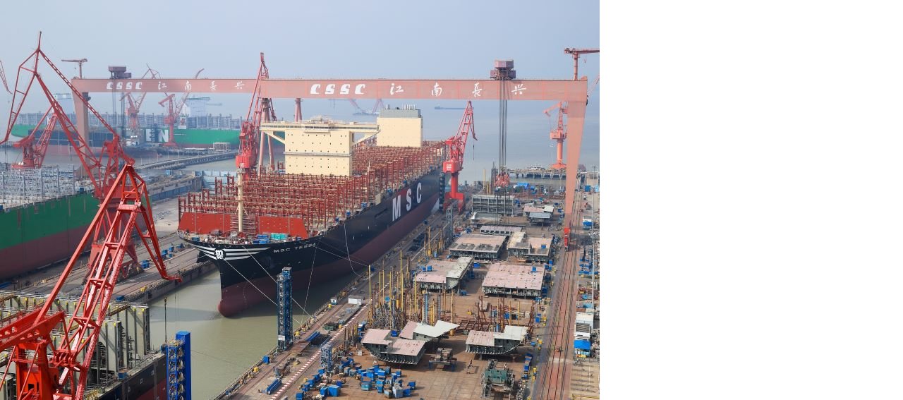 msc-tessa.jpg
