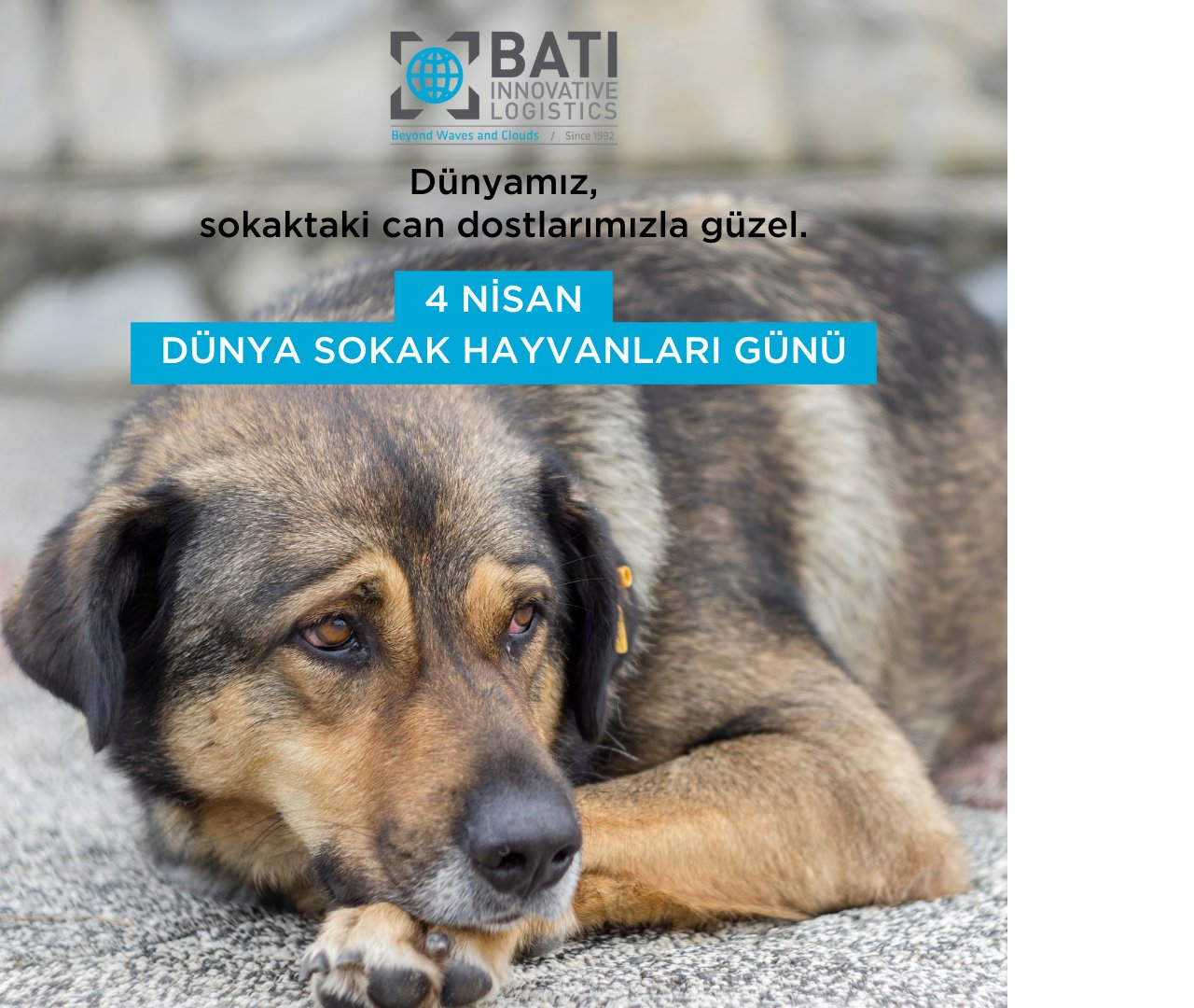 4-nisan-sokak-hayvanlar-g-n-1-1.png