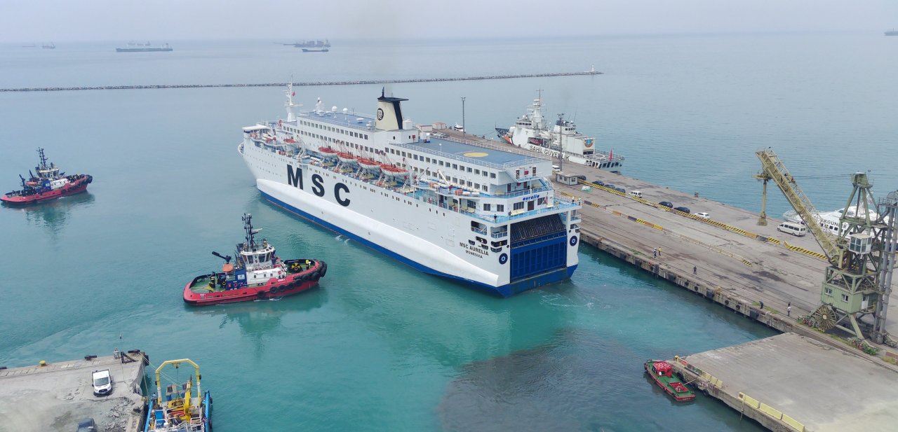 msc-aurelia-gidis-1.jpg