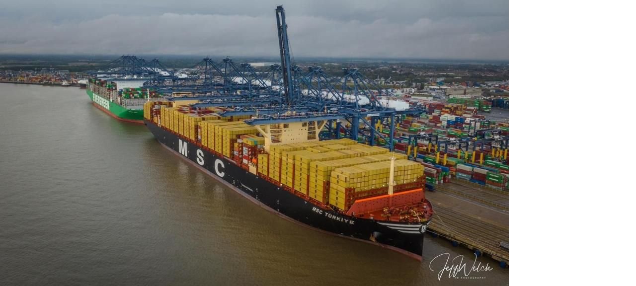 msc-turkiye.jpeg