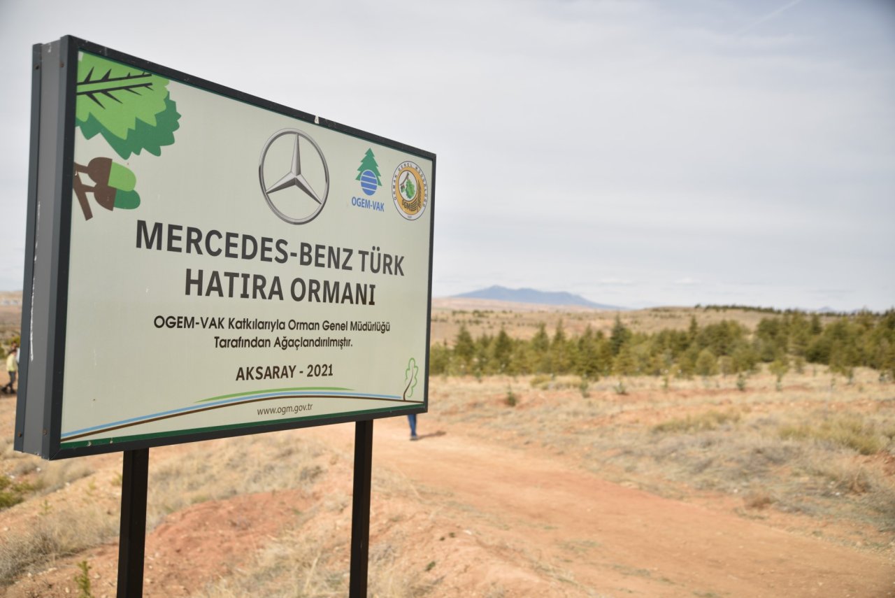 mercedes-hatira-ormani.jpg
