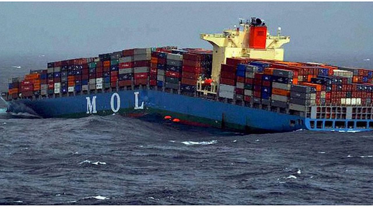 mol-comford.webp