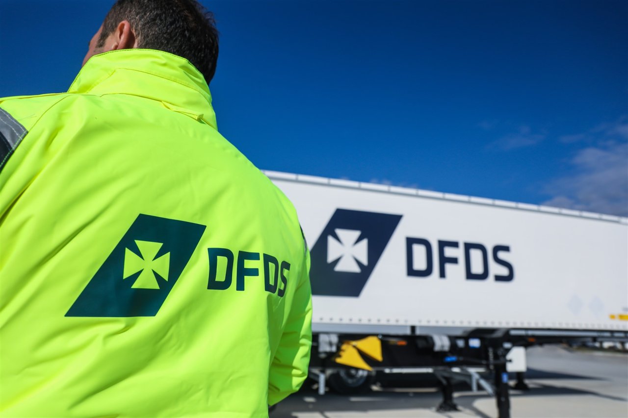 6dfds1.jpg