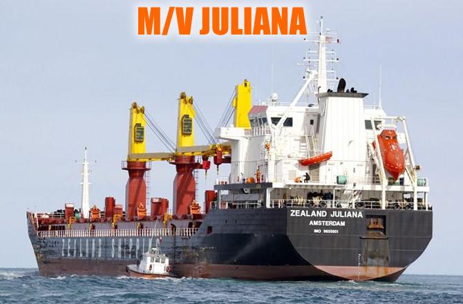 juliana-kolin.jpg