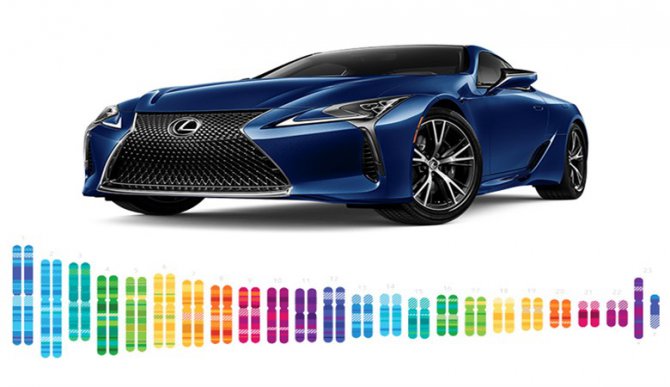 lexus-dna_780x450.jpg