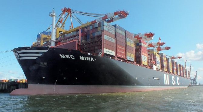 msc-nina.jpg