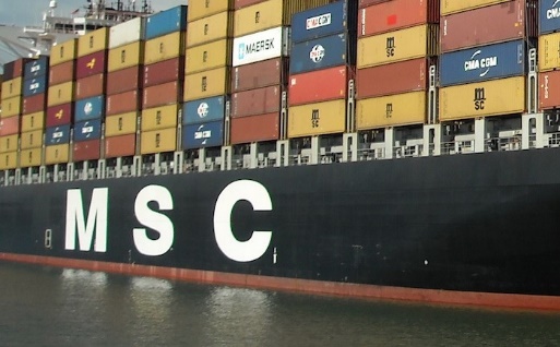 msc-tina-001.jpg