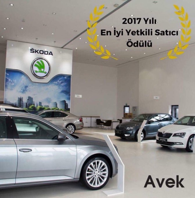 skoda_avek_02.jpg